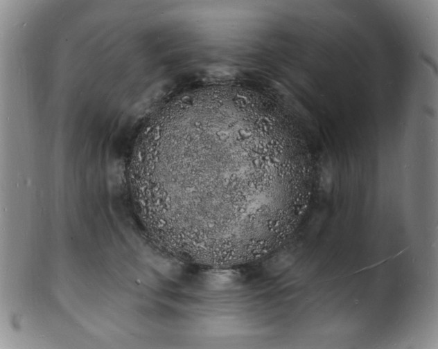 X0000101690711200807101513