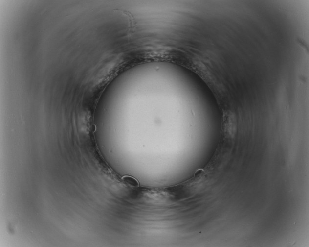 X0000101690712200807101513