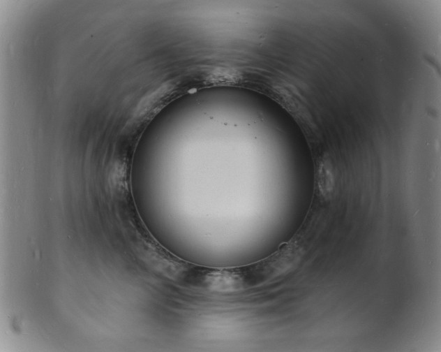 X0000101690714200807101513