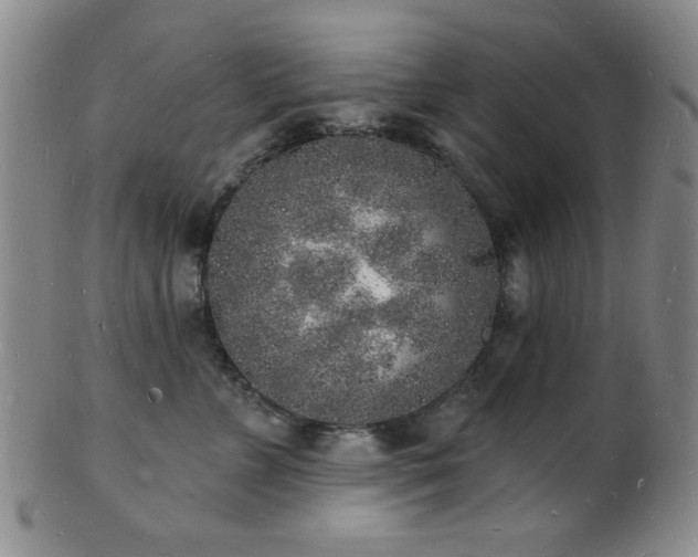 X0000101690715200807101513