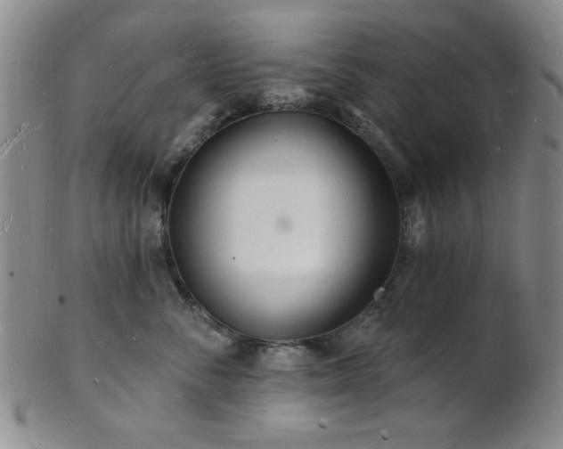 X0000101690716200807101513