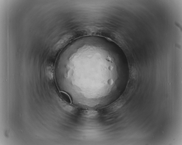 X0000101690719200807101513