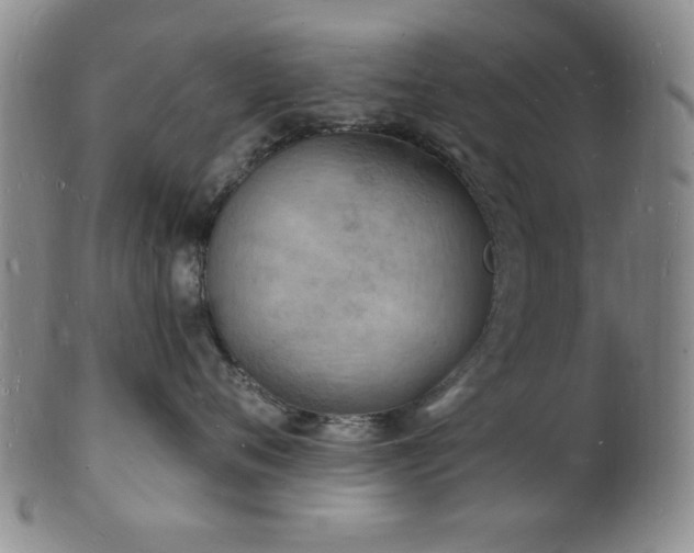 X0000101690720200807101513