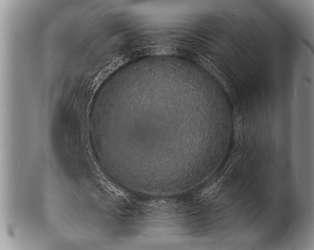 X0000101690721200807101512