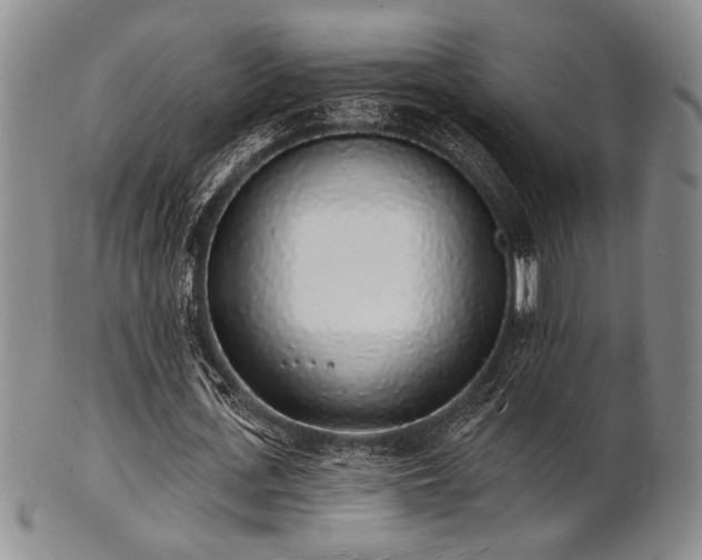 X0000101690723200807101512