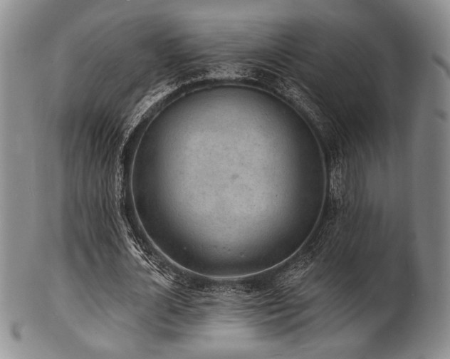 X0000101690724200807101512