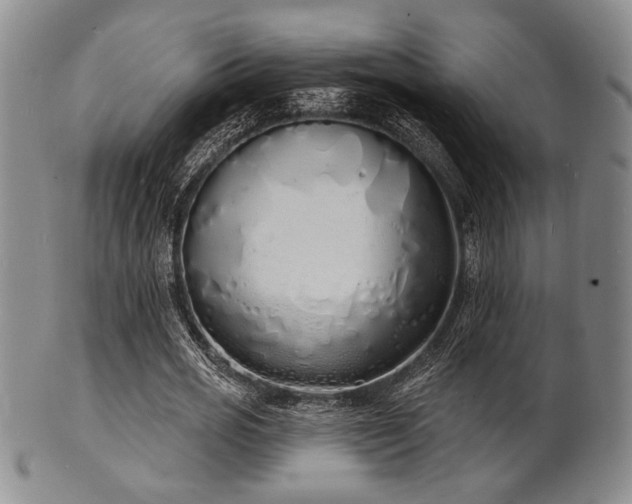 X0000101690725200807101512