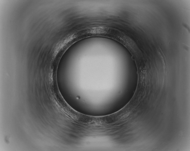 X0000101690727200807101512