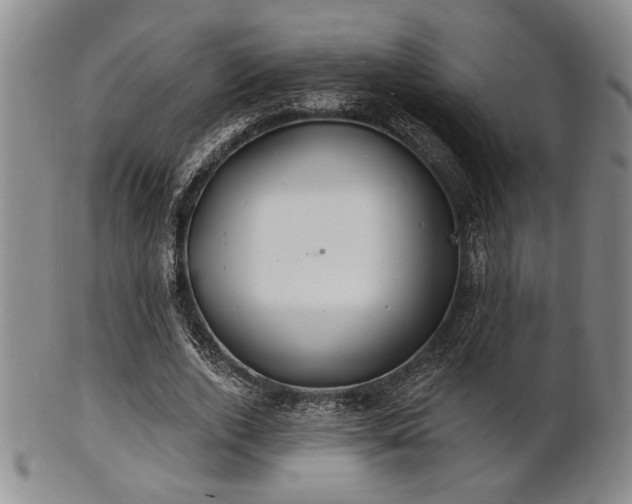 X0000101690728200807101512