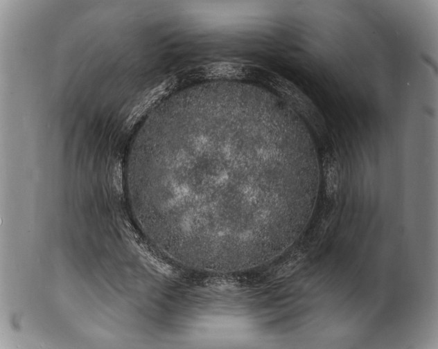 X0000101690729200807101512