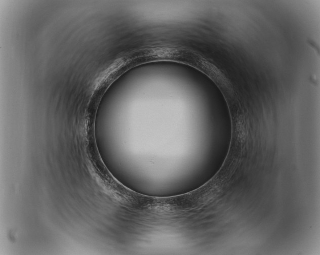 X0000101690730200807101512