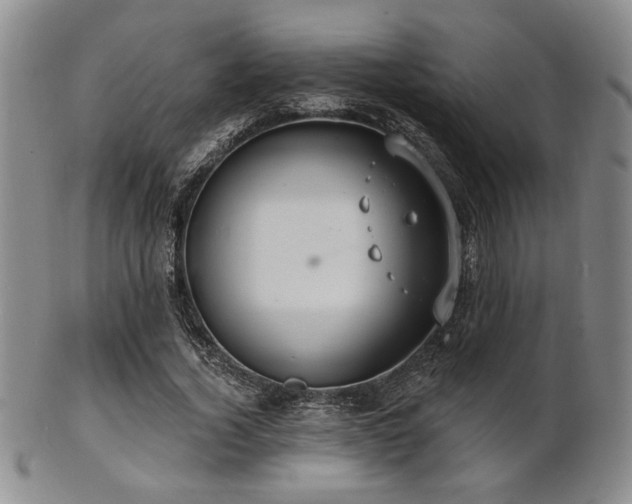 X0000101690732200807101512