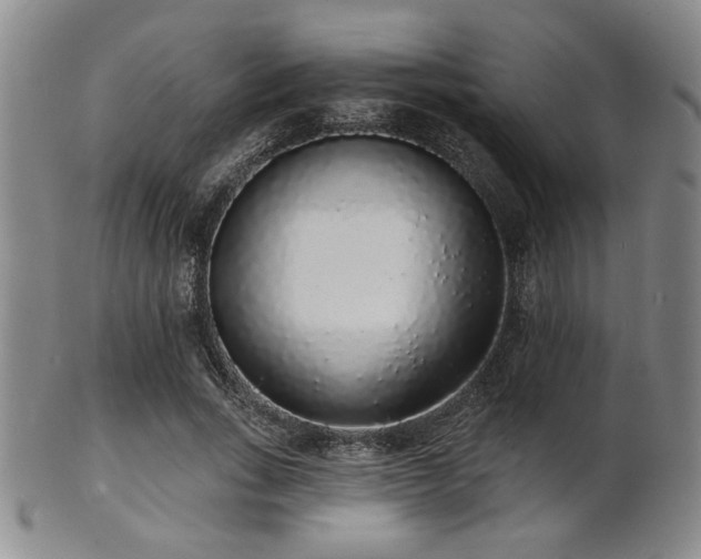 X0000101690735200807101512