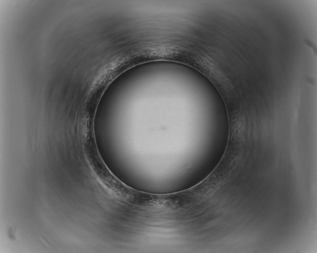 X0000101690736200807101512