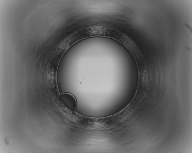 X0000101690737200807101512