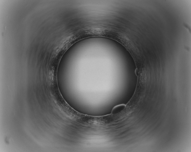 X0000101690739200807101512