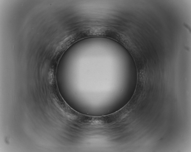 X0000101690741200807101512