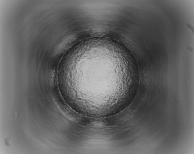 X0000101690742200807101512