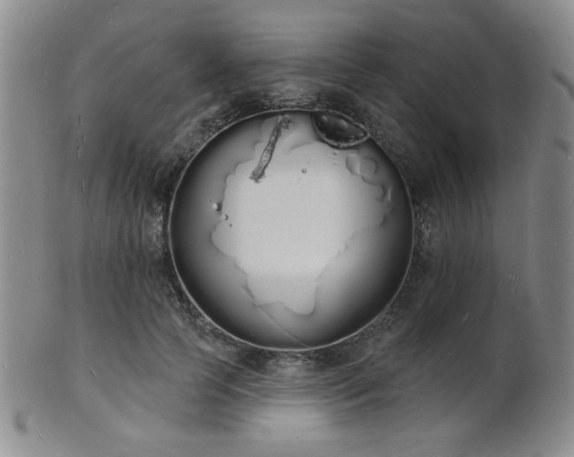 X0000101690745200807101512