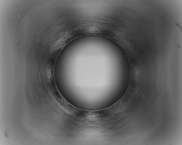 X0000101690746200807101512