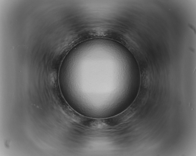 X0000101690747200807101512