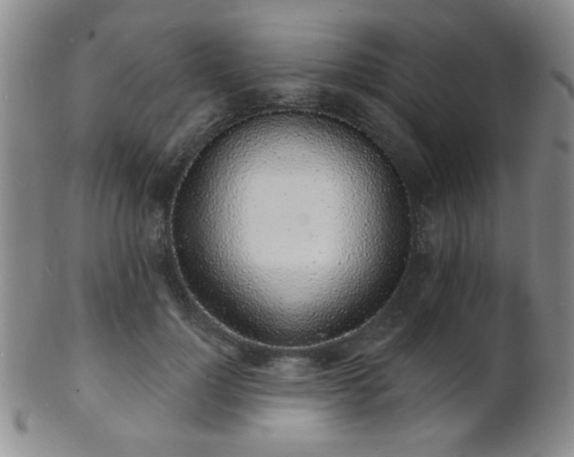 X0000101690748200807101512