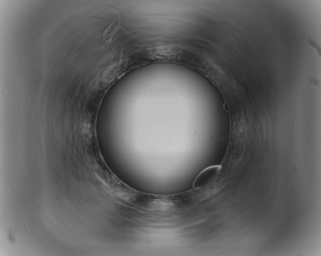 X0000101690749200807101512