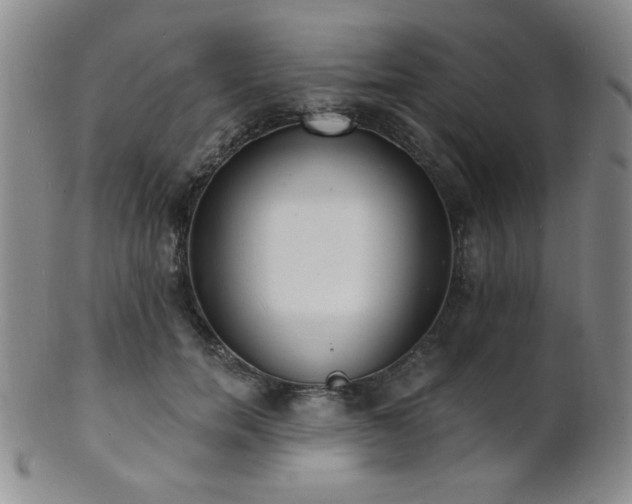 X0000101690750200807101512