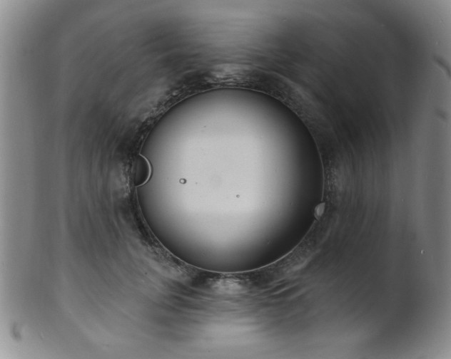 X0000101690751200807101512