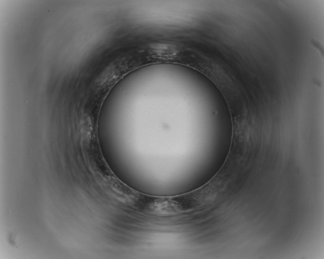 X0000101690752200807101512