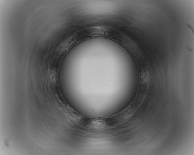 X0000101690753200807101513