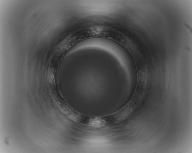 X0000101690754200807101513