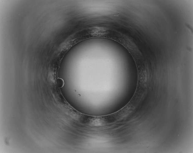 X0000101690755200807101513