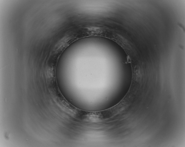 X0000101690756200807101513