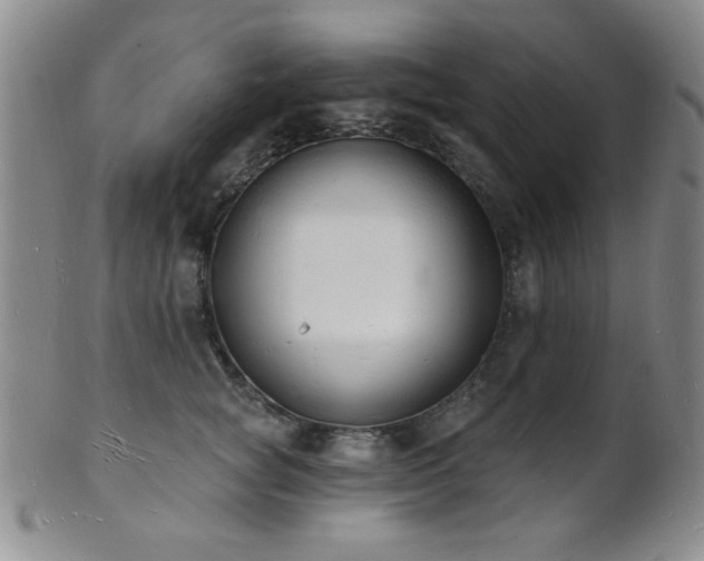 X0000101690757200807101513