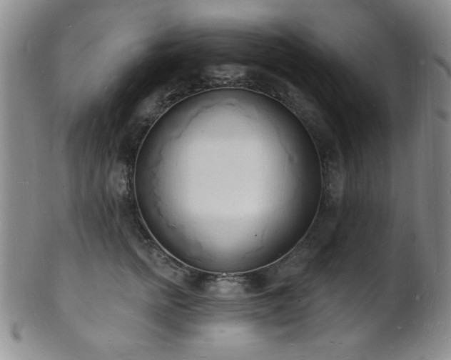 X0000101690758200807101513