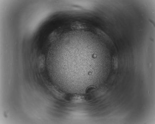 X0000101690760200807101513