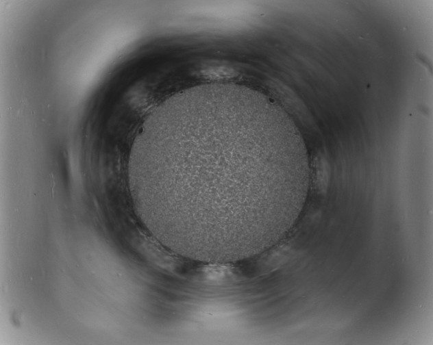 X0000101690762200807101513