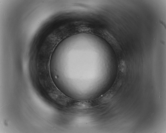 X0000101690763200807101513