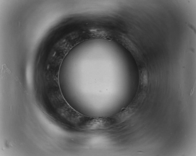 X0000101690764200807101513