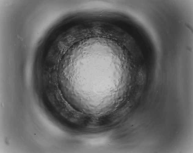 X0000101690765200807101513