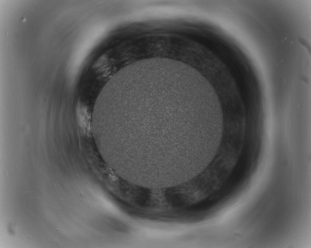 X0000101690766200807101513