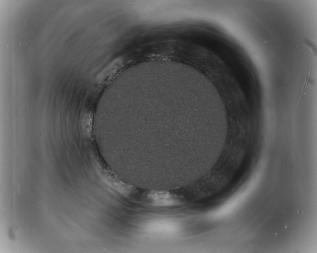 X0000101690767200807101513