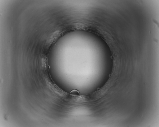 X0000101690768200807101513