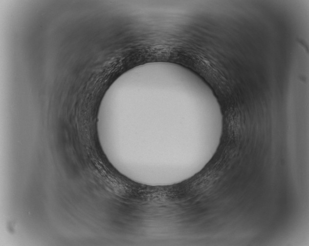 X0000101690769200807101512