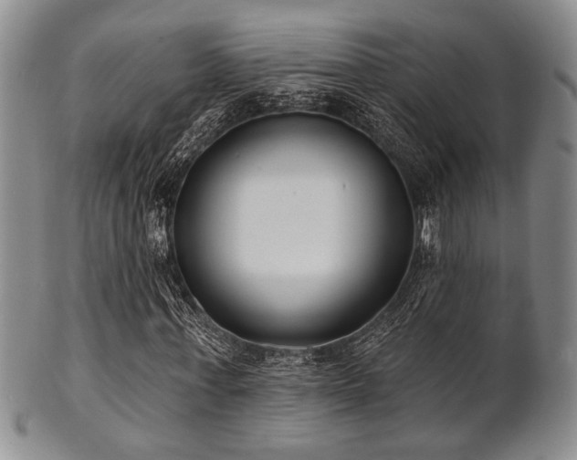 X0000101690771200807101512