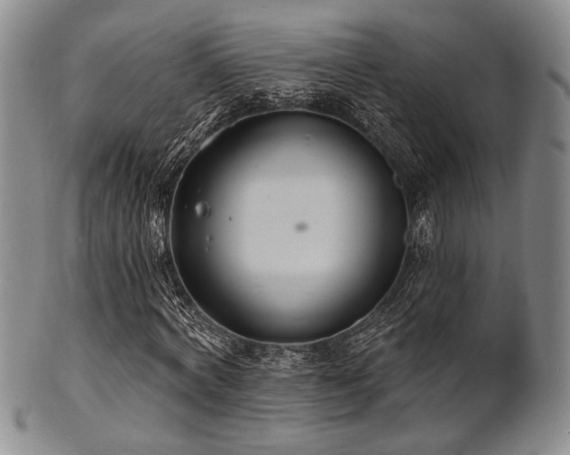 X0000101690772200807101512