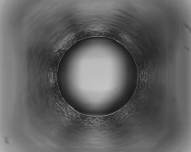 X0000101690774200807101512