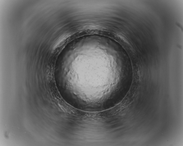 X0000101690775200807101512