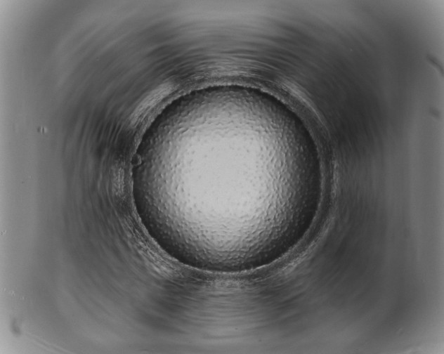 X0000101690777200807101512